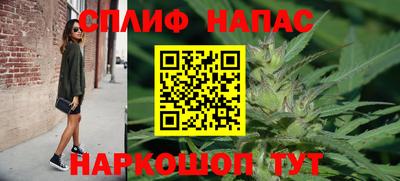 прущие крисы Бийск