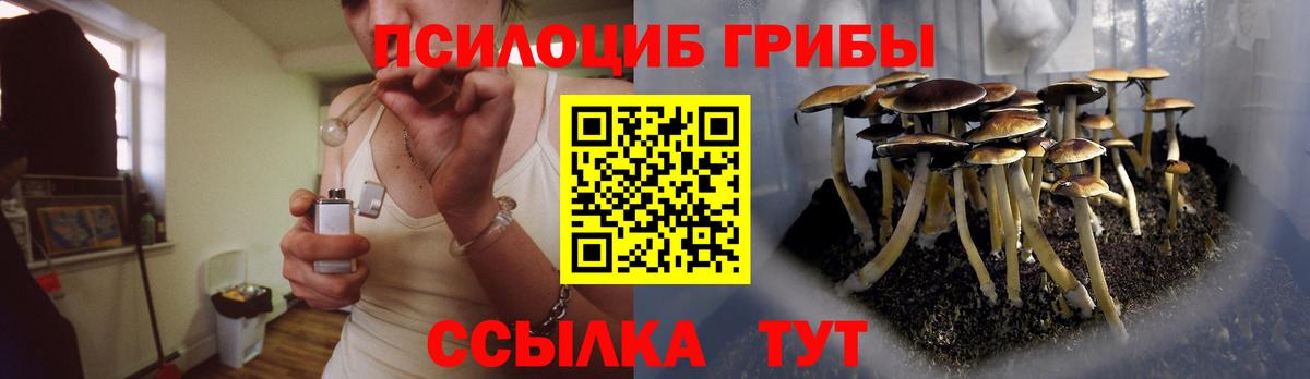 Галлюциногенные грибы Psilocybine cubensis  Вход с VPN  Галлюциногенные грибы мицелий  Гуково 
